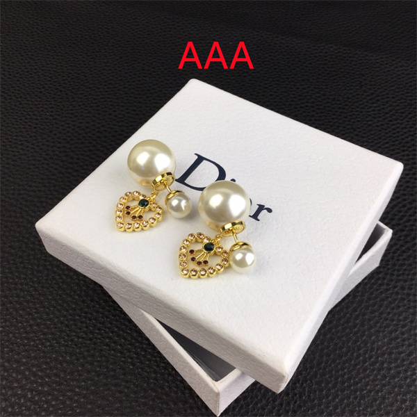 Dior Earrings-288