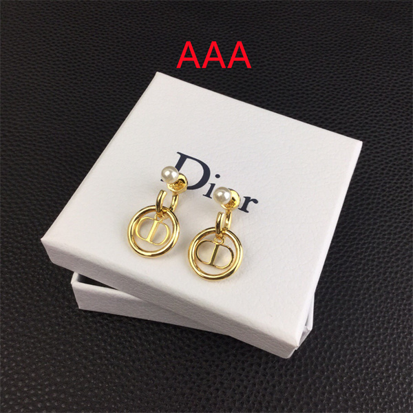 Dior Earrings-296
