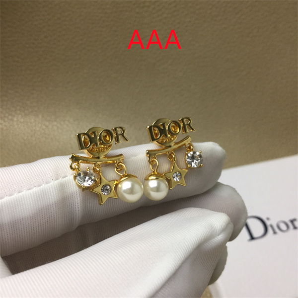 Dior Earrings-297
