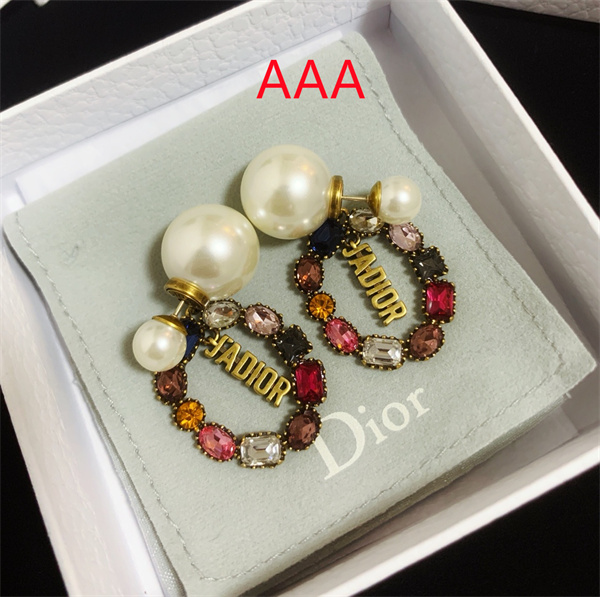 Dior Earrings-303