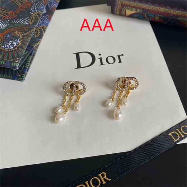 Dior Earrings-306