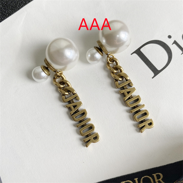 Dior Earrings-307