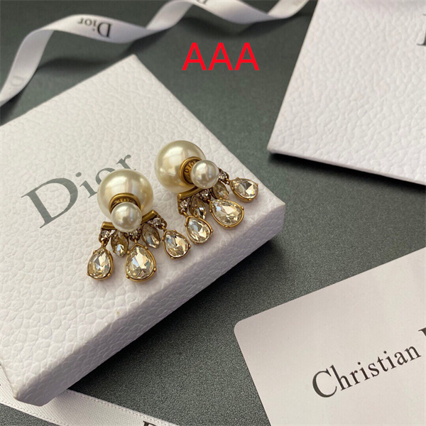 Dior Earrings-317