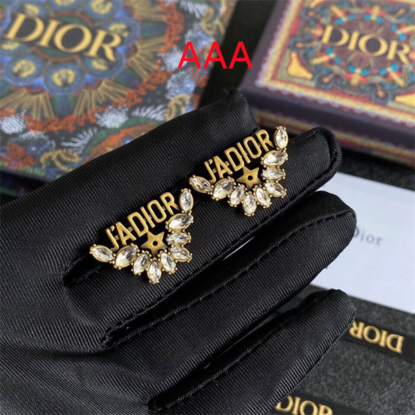 Dior Earrings-321