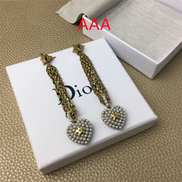 Dior Earrings-326