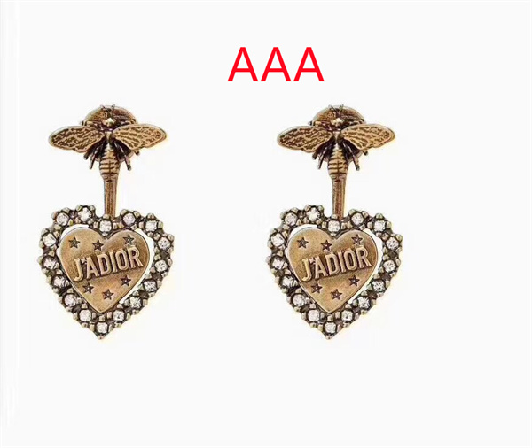 Dior Earrings-037