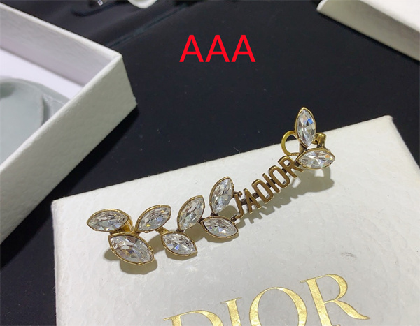 Dior Earrings-057