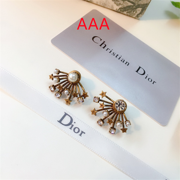 Dior Earrings-060