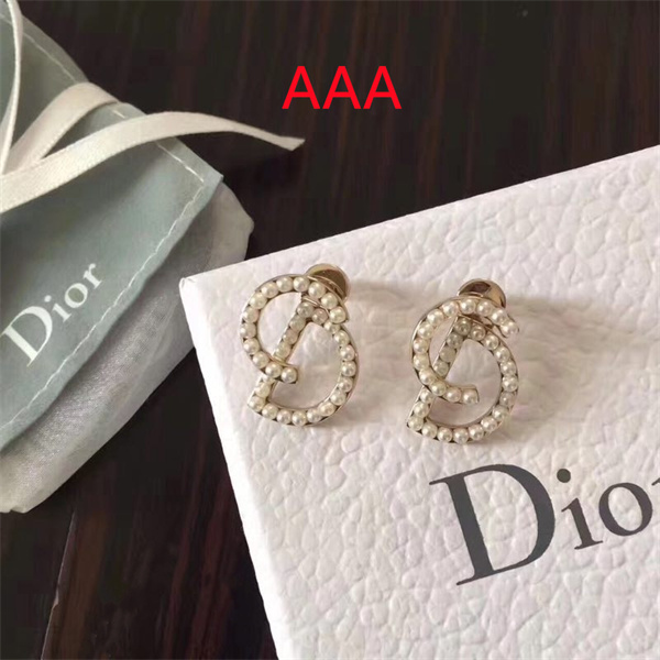 Dior Earrings-007