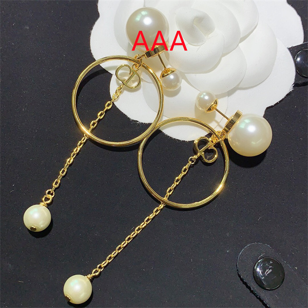 Dior Earrings-077