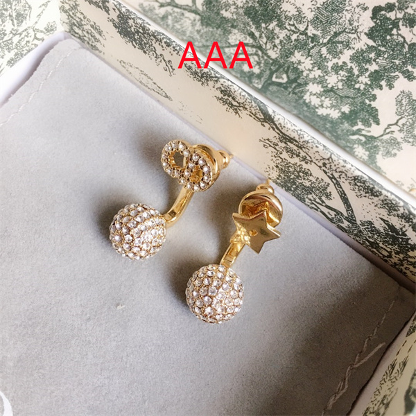 Dior Earrings-080