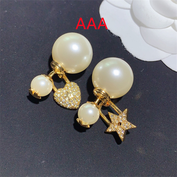 Dior Earrings-081