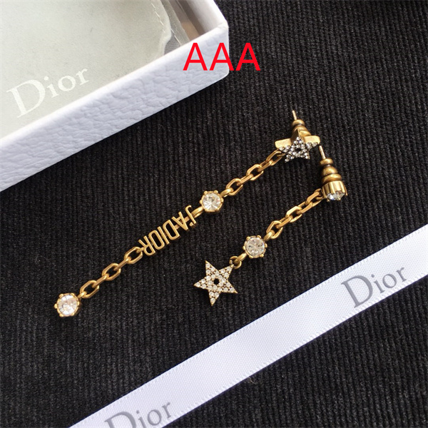 Dior Earrings-084