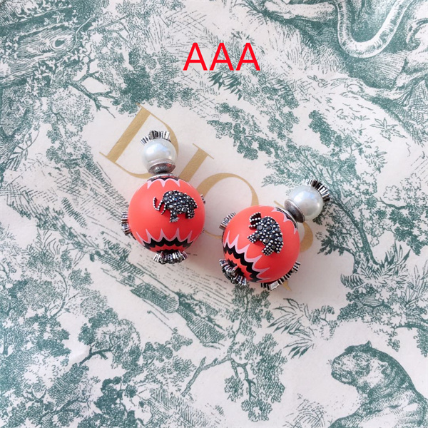 Dior Earrings-090