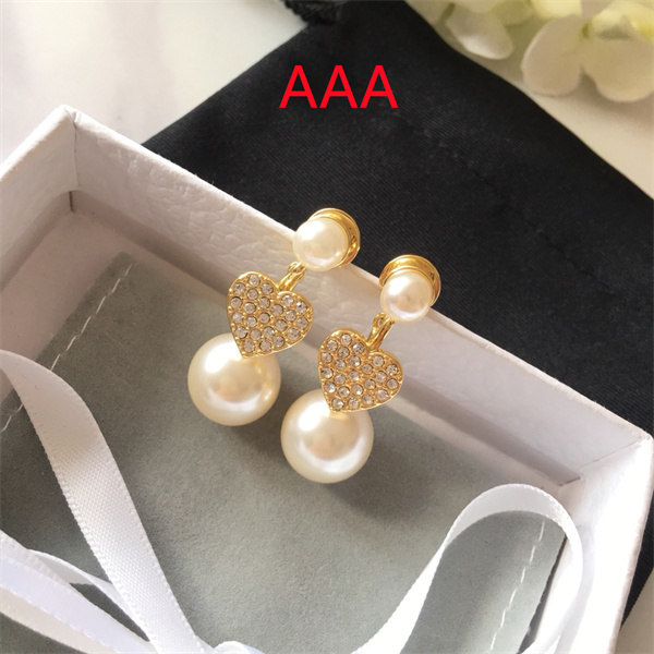 Dior Earrings-094