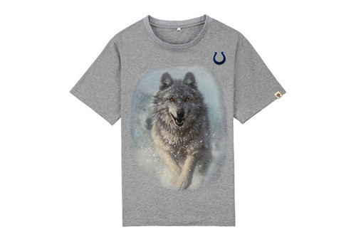 NFL T-shirt-M(10)-401