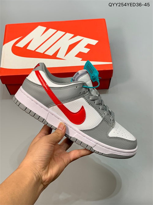 Dunk(low)-W-673