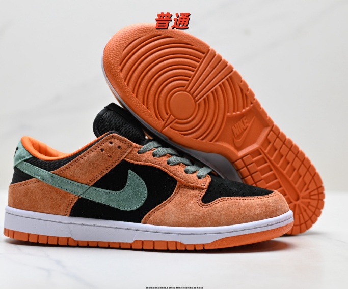 Dunk Shoes-1055