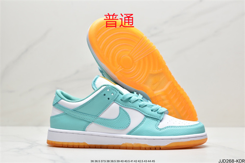 Dunk Shoes-107