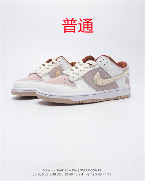 Dunk Shoes-331