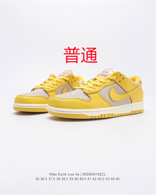 Dunk Shoes-393
