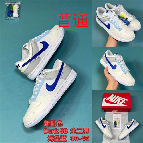 Dunk Shoes-489
