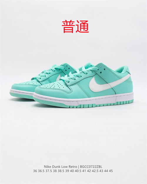 Dunk Shoes-511
