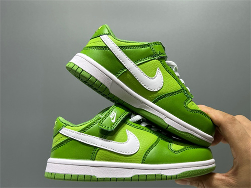 Nike Dunk(Kids)-0321