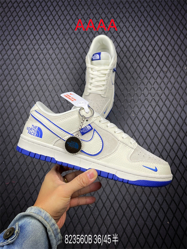 Nike Dunk(AAAA)-1480