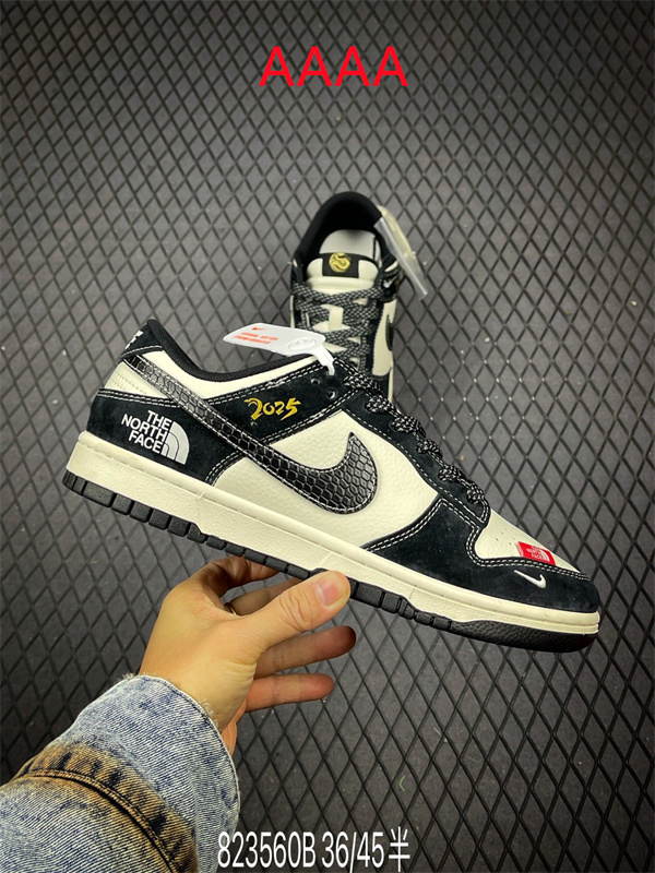 Nike Dunk(AAAA)-1609