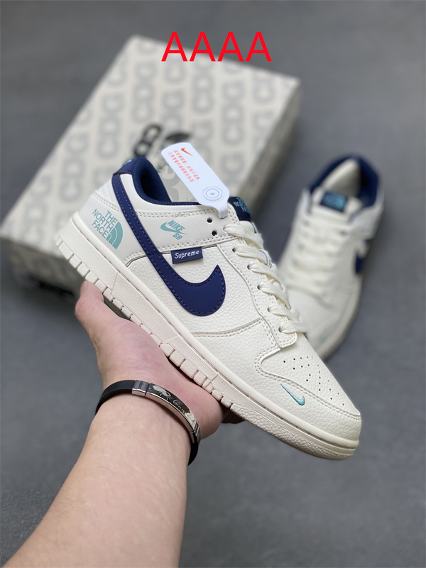 Nike Dunk(AAAA)-2166