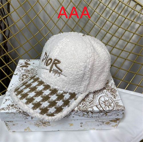Dior-Cap(AAA)-137