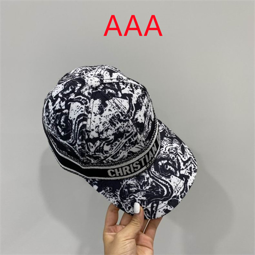 Dior-Cap(AAA)-174