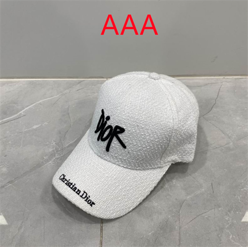 Dior-Cap(AAA)-184