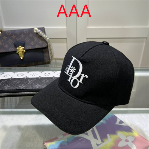 Dior-Cap(AAA)-209