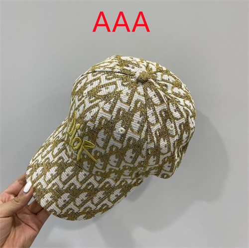 Dior-Cap(AAA)-004