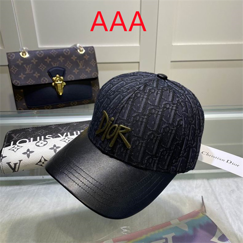 Dior-Cap(AAA)-058