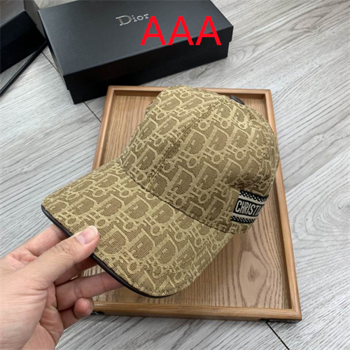 Dior-Cap(AAA)-014
