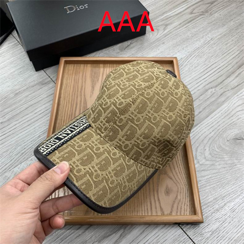 Dior-Cap(AAA)-015
