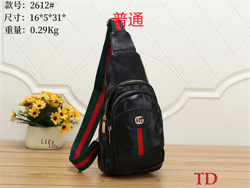 Gucci small bag-0119