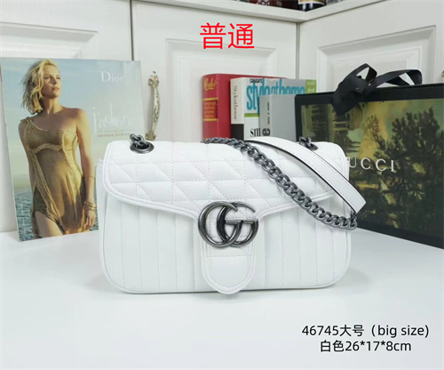 Gucci small bag-0133