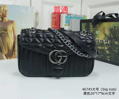 Gucci small bag-0134