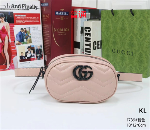 Gucci small bag-0179