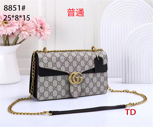 Gucci small bag-0253