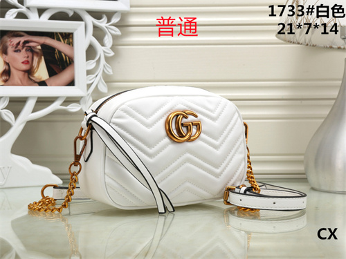 Gucci small bag-0026