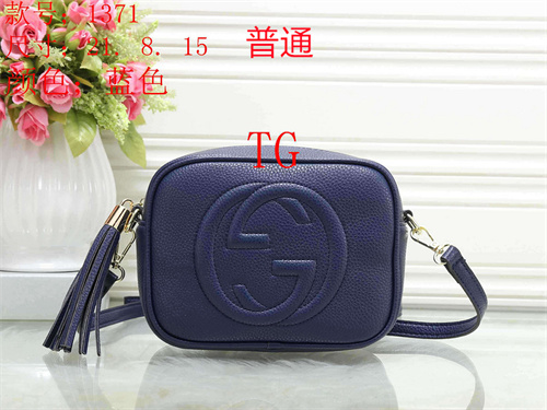 Gucci small bag-0055