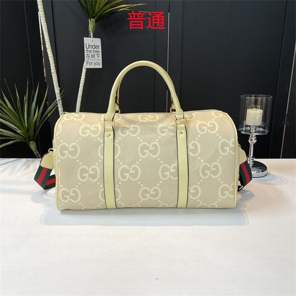 Gucci bag-0112