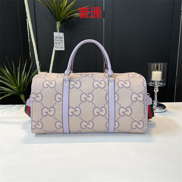 Gucci bag-0113