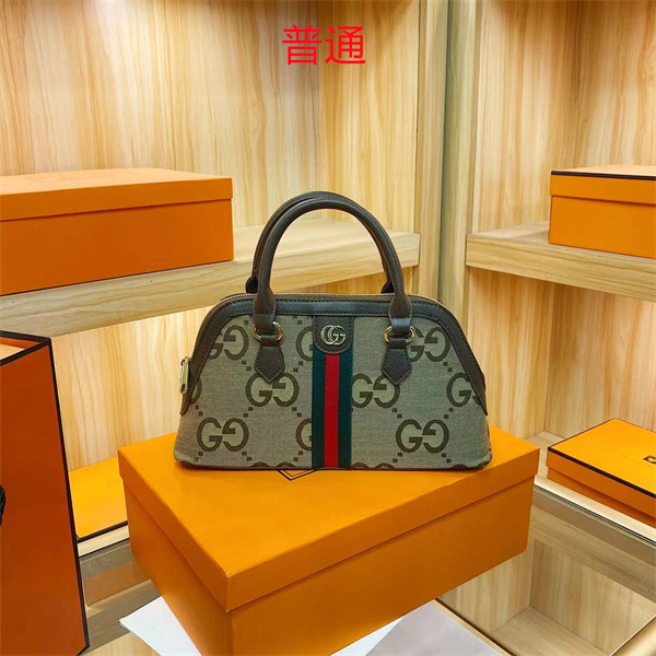 Gucci bag-0136