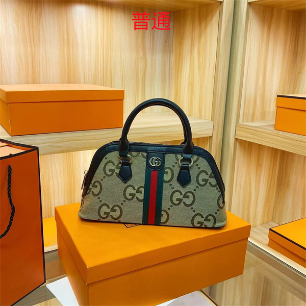 Gucci bag-0139